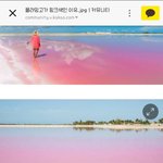 [댓글부탁해] 야 나도 이 <b>미생물</b>먹으면 핑크톤되려나?