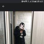 [댓글부탁해] 퓨마 벤치코트 롱패딩 있자나 ㅠㅠ