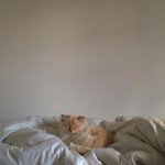 나 오늘 <b>미생</b> 태어나서 처음보는데