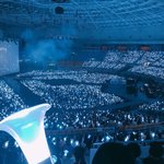 비투비 <b>체조</b>경기장 막<b>콘</b> 현황