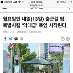 [드루와] 야 너네 이거 봄?
