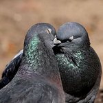 [댓글부탁해] 인천-> <b>해남</b> 이사;;;;