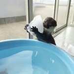 이니스프리 <b>섀도</b> 추천 좀