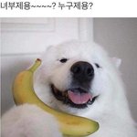 새벽인데 최애브랜드 <b>말</b>하고가<b>샘</b>