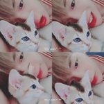 [강다니엘] 강다니엘 셋째 냥이 이름이 <b>오리</b>인 이유