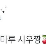 [시우민] <b>파도</b>파도 나오는 시우민의 정체