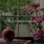 [좋은글귀] 때로는 흔들릴 때가 있습니다