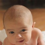 <b>랜</b><b>선</b> <b>이모</b> 삼촌 녹이는 아가들