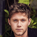 해외연예인 전범기 논란모음