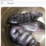 [명랑엽떡] 전설의 <b>돌돔</b> 매운탕