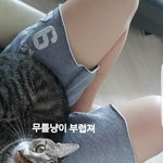 [댓글부탁해] <b>진짜</b> <b>니</b> 고양이 부럽다 용준아..