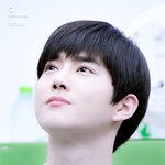 꽃보다 더 <b>고운</b> 남돌