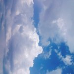 [19] 남자들 <b>볼일</b>볼때