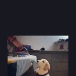 [19] <b>여자반</b> <b>여자</b>년들 특징