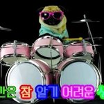다음생은 한남더힐에서 사는 강아지로 <b>태어</b>날래