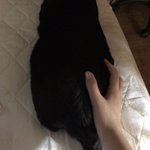 [19] ㅈㄴ큰 엉덩이 만지는 사진 ㅎㄷㄷ