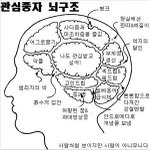 [드루와] 어그<b>로들</b>의 뇌구조
