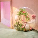 [방탄소년단] 방탄소년단 <b>도키</b>도키 실화?