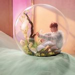 [방탄소년단] 컨포 궁예