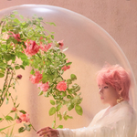 [드루와] 방탄 <b>컨</b><b>포</b> <b>뜸</b>!