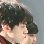[EXO] 병아리 인간