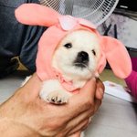 [댓글부탁해] 다들 자기 짝남 자랑하고 가자!!