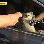 [댓글부탁해] <b>신과</b>함께 마동석 나오는 부분 웃겼음