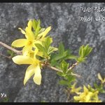 교회란??