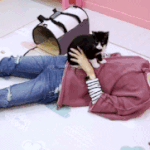 주인님을 모시고 사는 <b>집사</b> 男돌