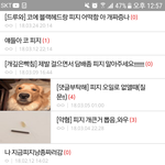 [드루와] 누가 내 <b>피지</b>사진 도용함ㅋㅋㅋㅋㅋㅋㅋ