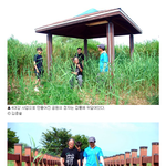 한국은 진짜 <b>선동</b>이 잘먹힘..