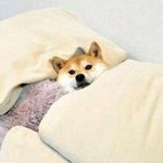 [드루와] 서울과 <b>지방의</b> 차이가 이런거구나