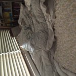 [드루와] 내 침대 <b>아늑</b>해보이지 않냐