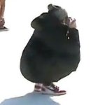 [강다니엘] <b>작소</b>녤