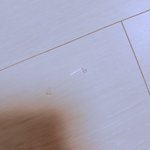 얘들아 <b>케이크</b>먹고싶다