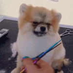 <b>자면</b>안돼