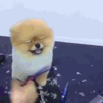 난고구마<b>라떼</b>가  맛있던데