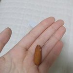 아몬드 먹는데 아몬드 조카길다