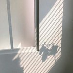 [ㅋㅋㅋㅋㅋ] 에이틴 돌아오지 않~을 이 순간을 너~~의 너에게