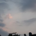 내생일중에서 가장 <b>비참</b>했던 날이야
