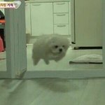 우는 거 예쁜 남돌 누구있음?