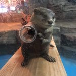 [드루와] <b>상단</b>바에 톡 알림 뜨면은