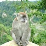 오늘자 일<b>뽕들</b>