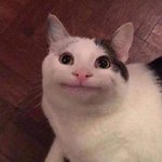 인상 <b>험악</b>한 애는 입꼬리 올려도 무쓸모임