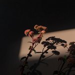 [드루와] 나 <b>머리칼</b> 가슴 중간까지 오는데