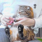 [ㅋㅋㅋㅋㅋ] <b>일상</b>이 ㅈㄴ 행복해