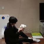 [아이콘] 이번 콘서트때ㅠ