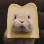 [댓글부탁해] 자막 치는데 이문장 어색해ㅠ?