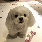 [드루와] 속눈썹에 뭐바르면 <b>길어</b>짐?