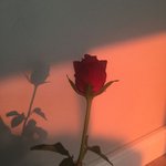 쿨톤 <b>웜톤</b> 조금 아는 친구들아...